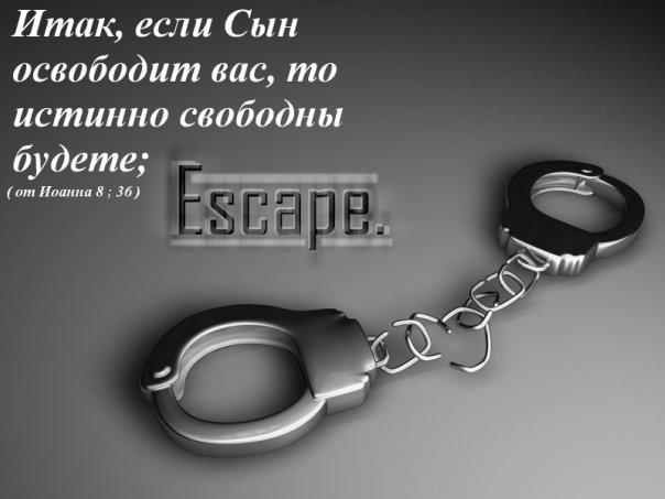 Насколько ты свободен?