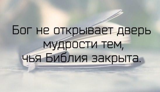 Твой источник