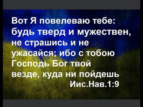 Твои шрамы