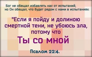 Твое величайшее служение придет из твоей глубочайшей боли