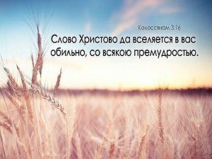 Как 1-я глава послания к Колоссянам боролась с ошибочным учением в церкви