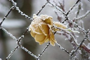 Начало всех злых искушений