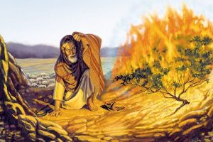 Встреча с неопалимой купиной