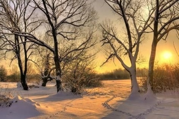 Ежедневное пророческое слово
