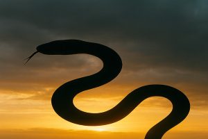 Знаете ли вы дату возвращения Христа?