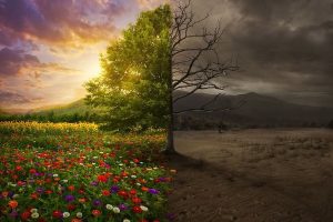 То, что вы защищаете