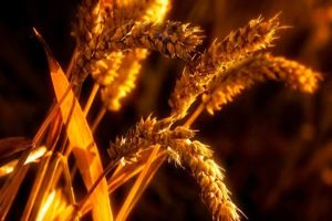 Опасные дни после среднего возраста