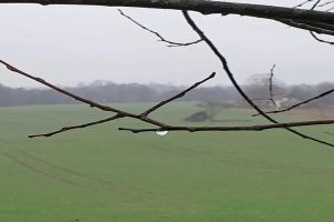 Если хочешь по-настоящему жить, умирай каждый день