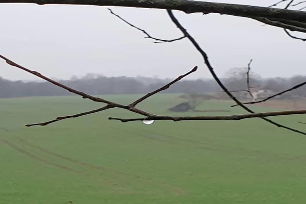 Если хочешь по-настоящему жить, умирай каждый день