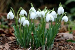 Ежедневное пророческое слово