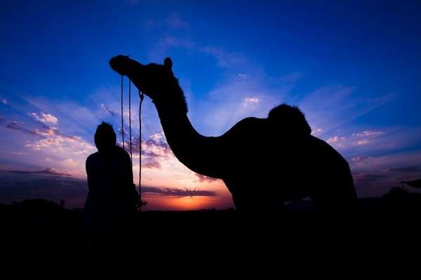 Кем был тот фараон, который «не знал Иосифа»?