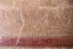 Вражда между египтянами и израильтянами началась с… бегемотов?